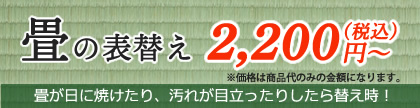 畳の表替え